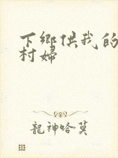 下乡供我的发泄村妇封面