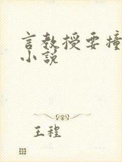 言教授要撞坏了小说