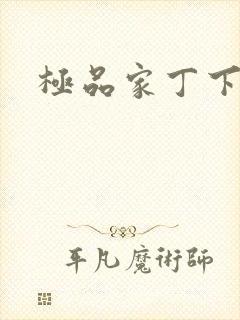 极品家丁下载