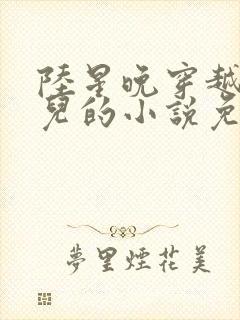 陆星晚穿越成婴儿的小说免费阅读全文