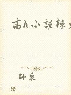 高h小说辣文
