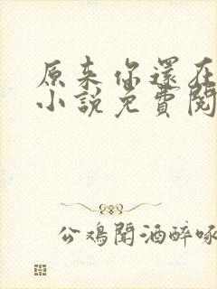 原来你还在这里小说免费阅读