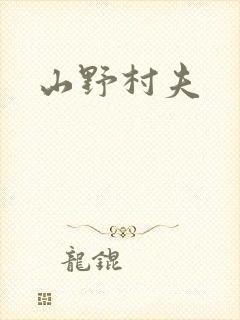 山野村夫封面