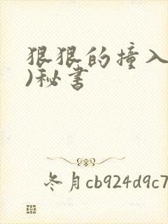 狠狠的撞入(h)秘书