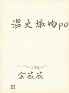 温火炖肉pop