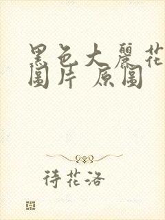 黑色大丽花真实图片 原图封面