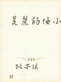 美丽的他小说封面