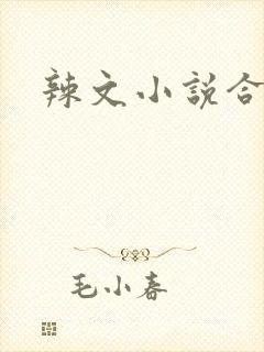 辣文小说合集