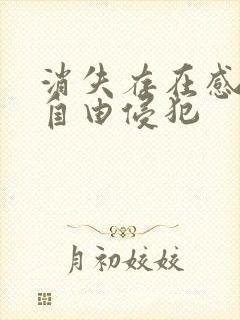 消失存在感消失自由侵犯封面