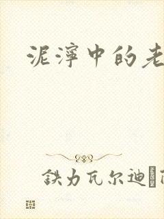 泥泞中的老虎