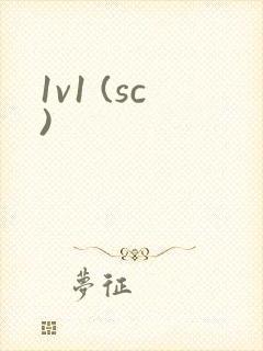 1v1 (sc)