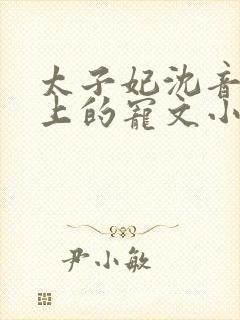 太子妃沈音和皇上的宠文小说