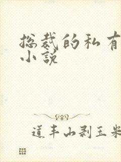 总裁的私有宝贝小说封面