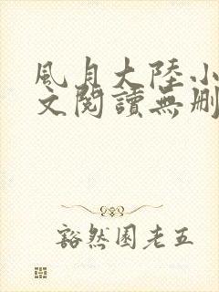 风月大陆小说全文阅读无删减