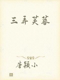 三弄芙蓉封面