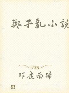 与子乱小说
