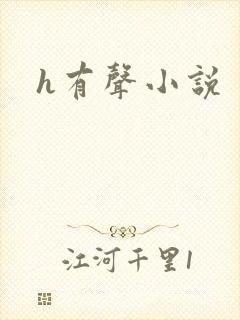h有声小说