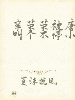宁荣荣被唐三桶叫个不停小说
