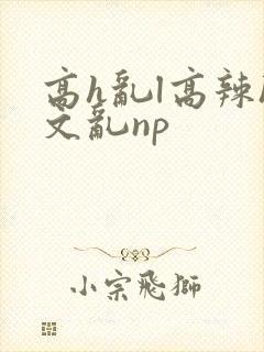 高h乱l高辣h文乱np