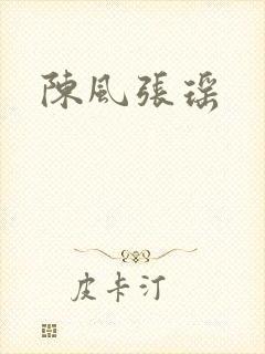 陈风张瑶封面