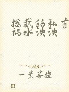 总裁的私有宝贝祸水泱泱封面