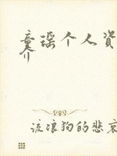 童瑶个人资料简介封面