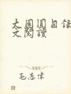 大团圆目录及全文阅读封面