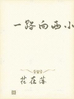 一路向西小说