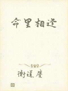 命里相逢封面