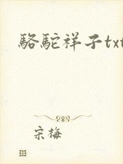 骆驼祥子txt