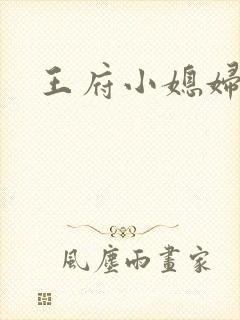 王府小媳妇