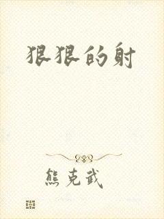 狠狠的射