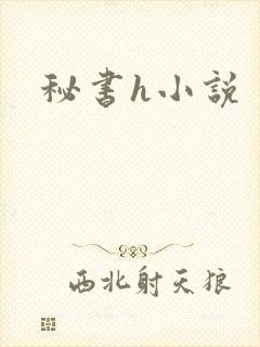 秘书h小说