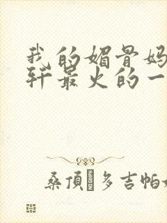 我的媚骨妈妈林轩最火的一句