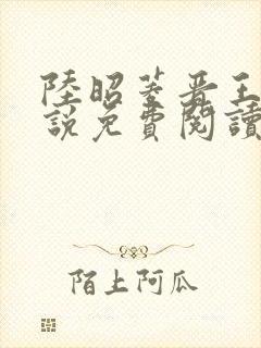 陆昭菱晋王的小说免费阅读