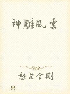 神雕风云