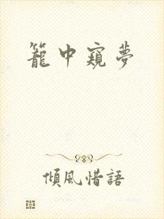 笼中窥梦