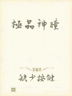 极品神瞳封面