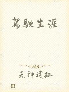 驾驶生涯