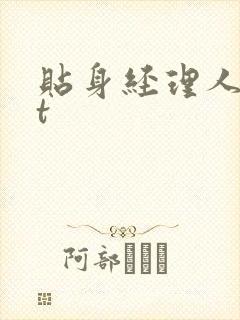 贴身经理人txt