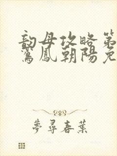 韵母攻略第二部鸾凤朝阳免费阅读