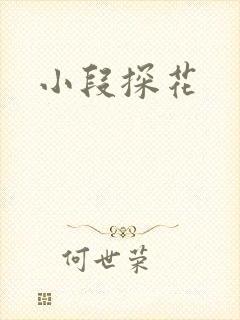 小段探花
