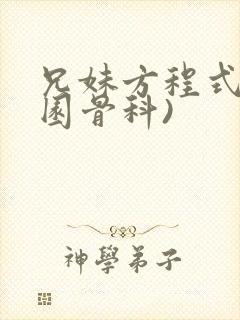 兄妹方程式(校园骨科)封面