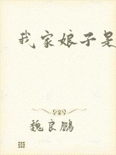 我家娘子是剑神