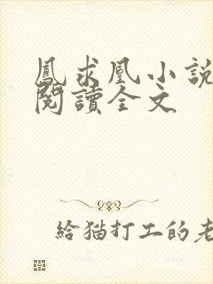 凤求凰小说免费阅读全文