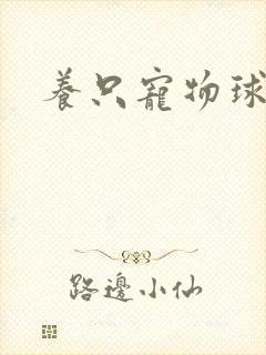 养只宠物球