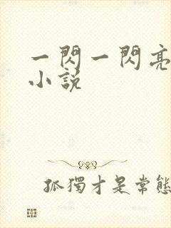 一闪一闪亮星星小说