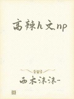 高辣h文np