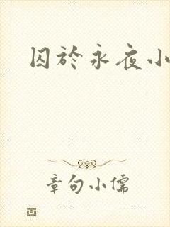 囚于永夜小说封面
