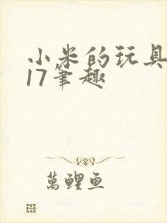 小米的玩具日记17笔趣封面